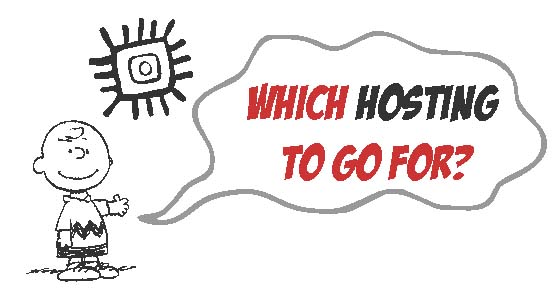 Which-Hosting